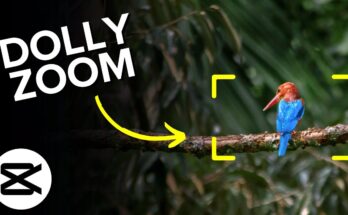 dolly zoom