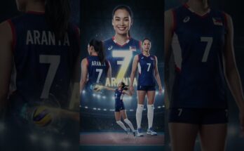 volleyball poster