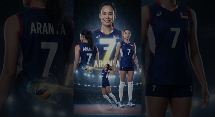 volleyball poster